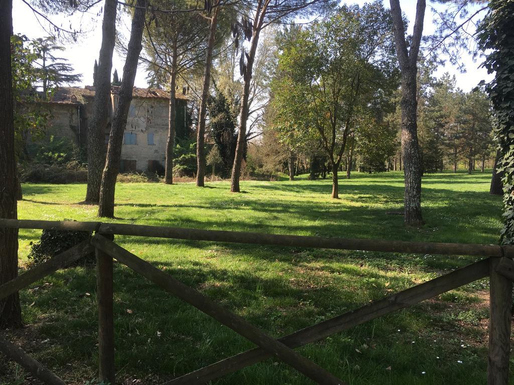Old Town In The Green: Federico'S Apartment. Firenze Eksteriør bilde